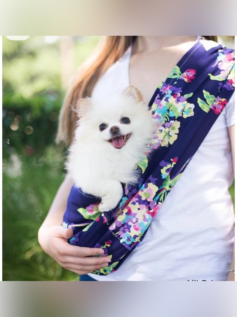 Mod Pups Sling Carrier dog
